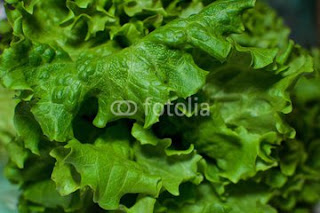 Nigerian leaves vegetables health benefits Nigerian leafy vegetables health benefits