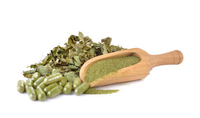 Moringa Moringa plant - Health Benefits, Medical Uses and Side Effects