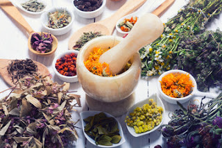Top 10 Medicinal Herbs And What They Treat Top 10 Medicinal Herbs And What They Treat