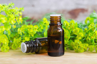 Cypress essential oil Best Essential Oils for Aging Skin