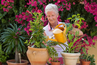 Health benefits of gardening Health benefits of gardening