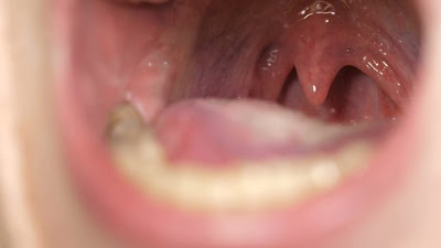uvula function of uvula