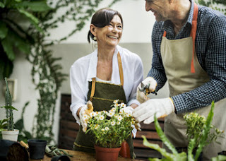 Health benefits of gardening Health benefits of gardening