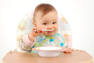 Babies Should  Eat Organic Food Babies Should  Eat Organic Food
