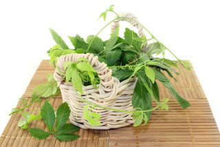 Adaptogen health benefits Adaptogen health benefits