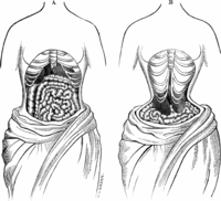 Waist training Waist training facts